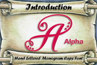 Alpha Monogram: A Designer’s Honest Review