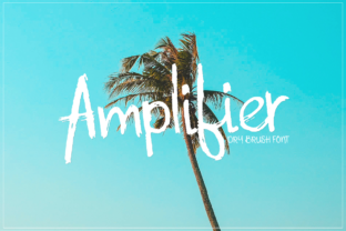 Amplifier: A Creative Font for Distinctive Small Business Branding