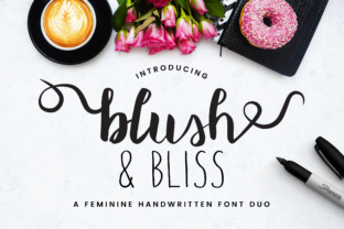 Blush Bliss: A Playful Script Font Duo for Modern Campaigns