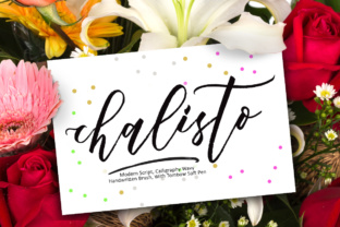 Chalisto: A Modern Script Typeface for Editorial Design