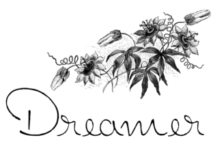 Dreamer Typeface: Adding Sincerity to Brand Identity Projects