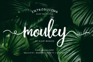 Mouley Script Font: Elevating Digital Brand Identity