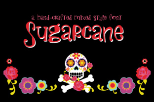 Sugarcane Typeface: A Whimsical Script for Digital Branding